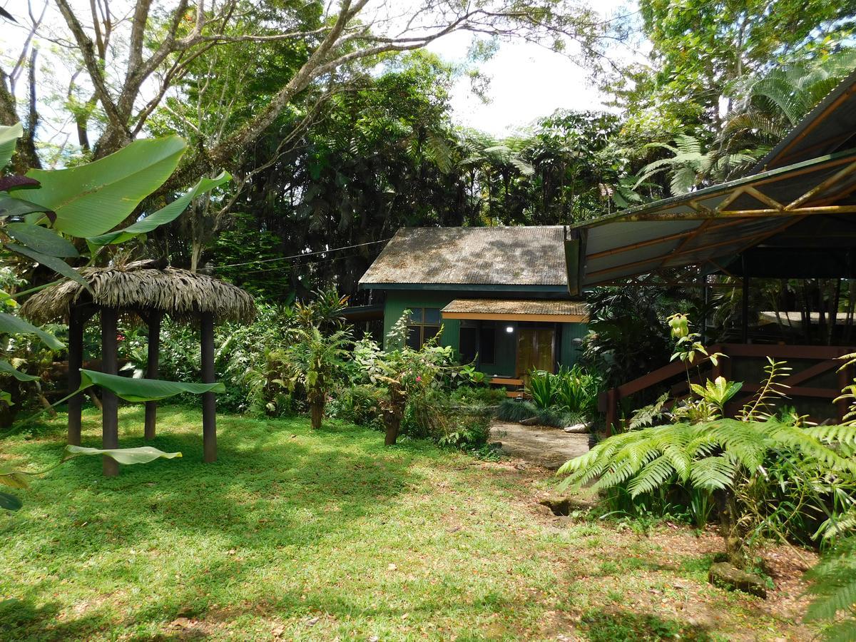 Rainforest Eco Lodge Suva Exterior foto